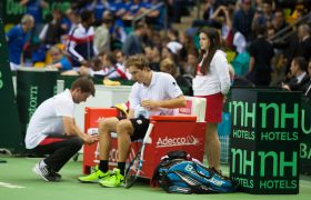 Davis Cup 2015 Bild 22.jpg