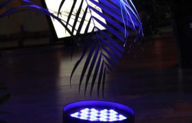 IMG_3712.jpg