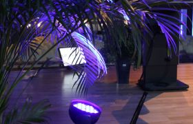 IMG_3711.jpg